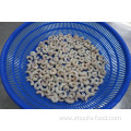 Frozen Cooked Vannamei Shrimp Red Prawn Export